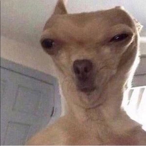 Meet your Posher, Kemarie